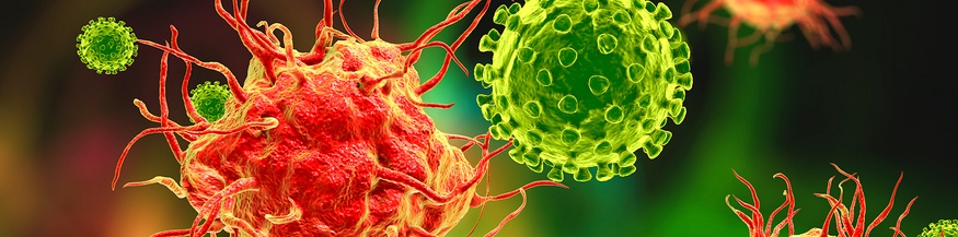 Virus und dendritische Zellen (Zellen des Immunsystems)