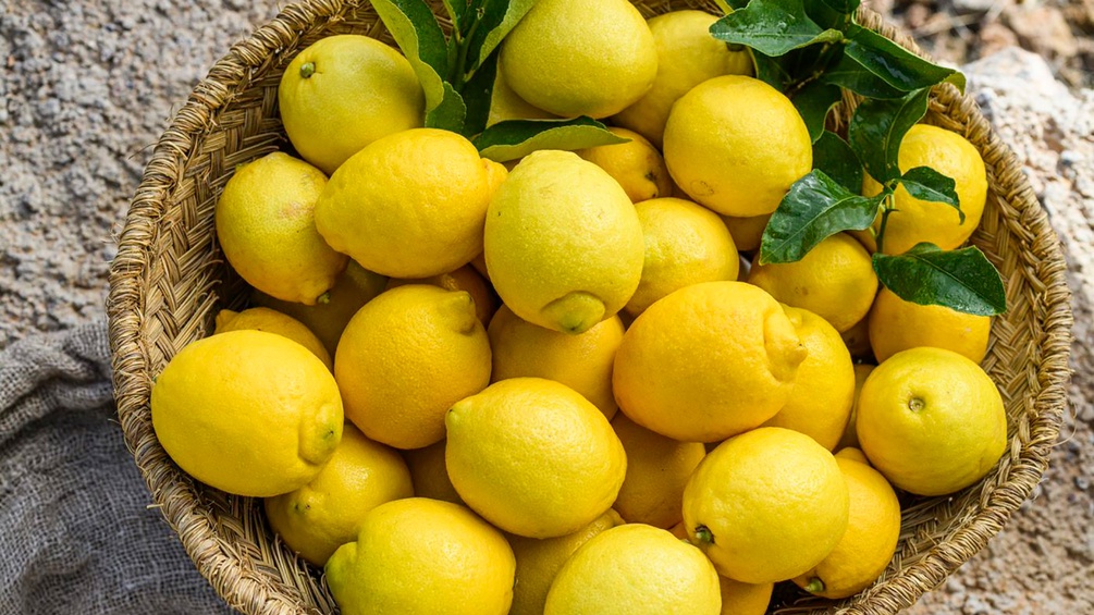 Zitronen in einem Korb