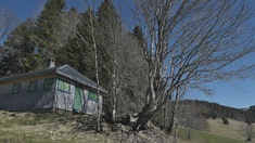 Heideggers Hütte in Todtnauberg