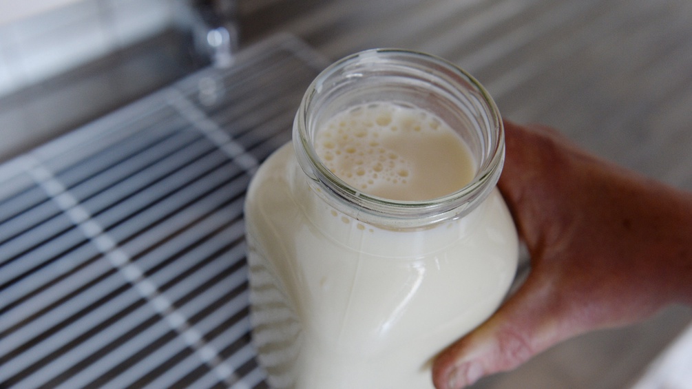 Ein Krug Milch im Kühlschrank