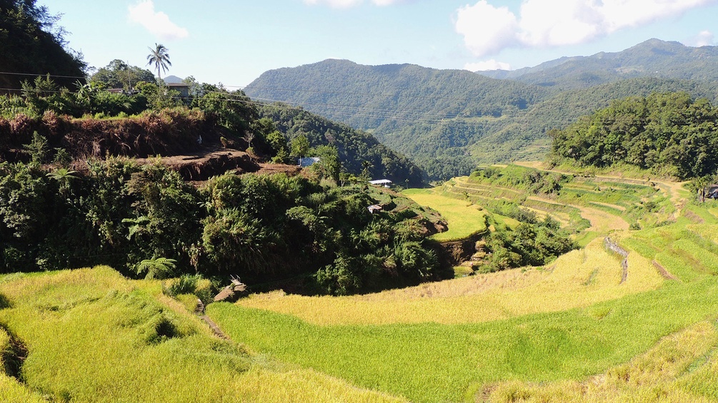 Die Ifugao Reisterrassen von Batad