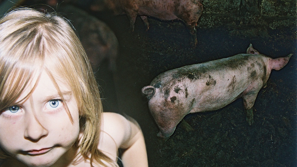 Blondes Mädchen, im Hintergrund Schwein