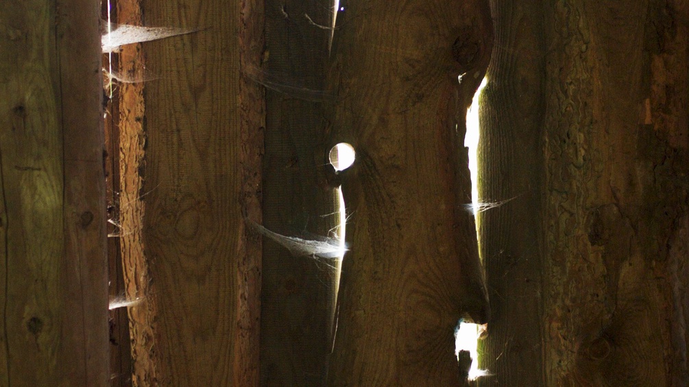 Licht durch Holzbretter