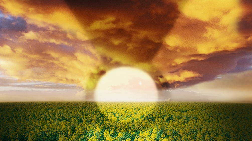 Sonne, Buchumschlagausschnitt "Die Wolke"