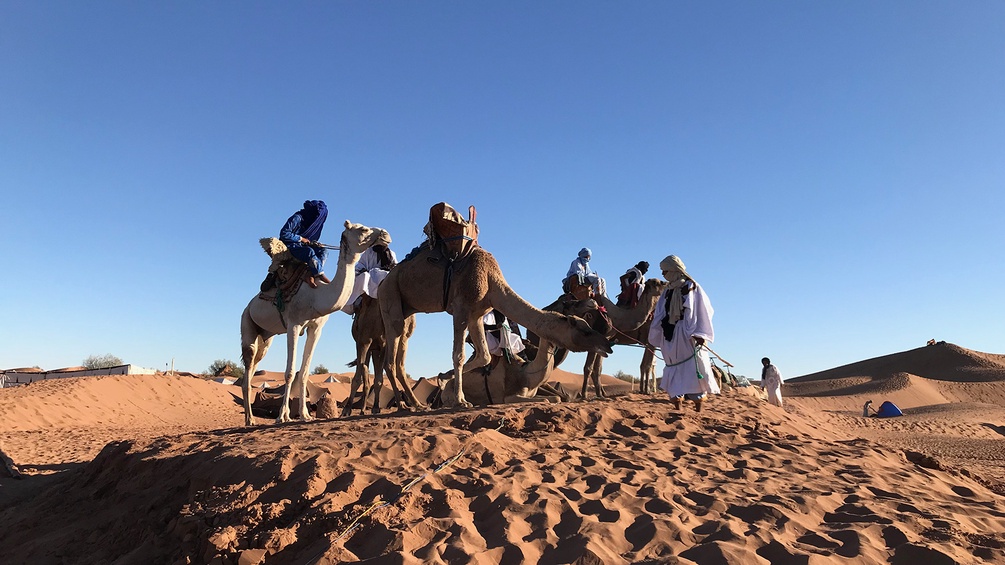 Männer und Kamele in der Wüste