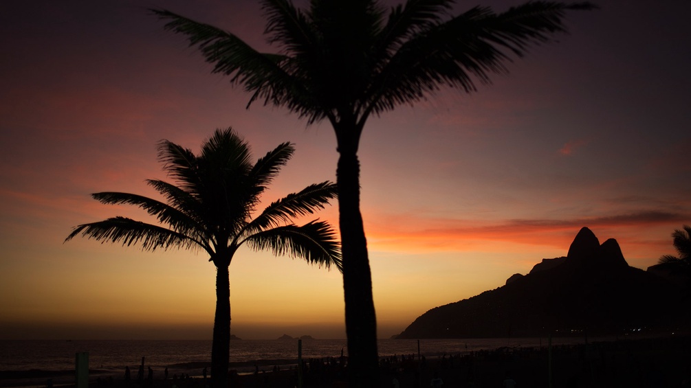 Sonnenuntergang in Rio de Janeiro mit Palmen