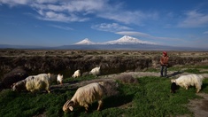 Landschaft bei Berg Ararat