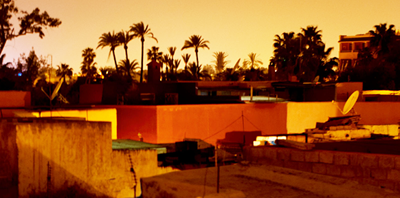 Dächer einer jemenitischen Stadt, Palmen im Hintergrund