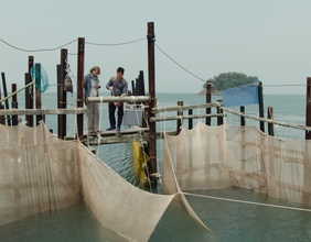 Nachhaltiger Fischer in Korea