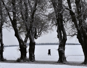 Weiße Winterlandschaft mit Fußgängern 