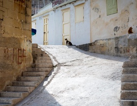 Zwei Katzen sitzen auf Stufen in einer alten Gasse in Valletta