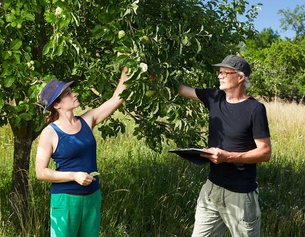Zwei Menschen vor einem Obstbaum