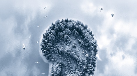 Insel