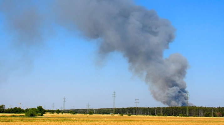 Eine hohe Rauchsäule steigt bei einem Waldbrand in St. Egyden am Steinfeld auf.