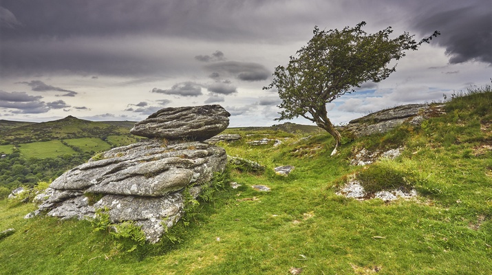 Landschaft in Dartmoor