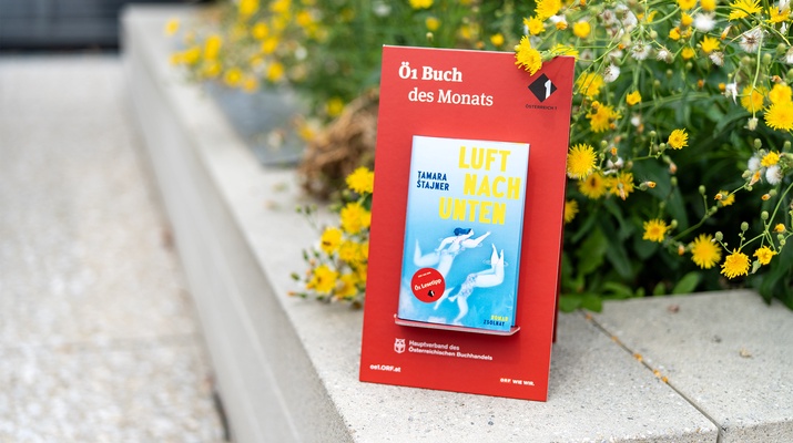 Ö1 Buch des Monats: "Luft nach unten"