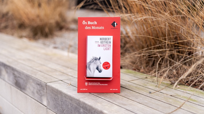 Buch des Monats: "Im ersten Licht" von Norbert Gstrein