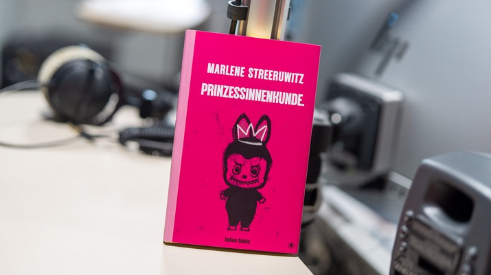 "Prinzessinnenkunde" von Marlene Streeruwitz