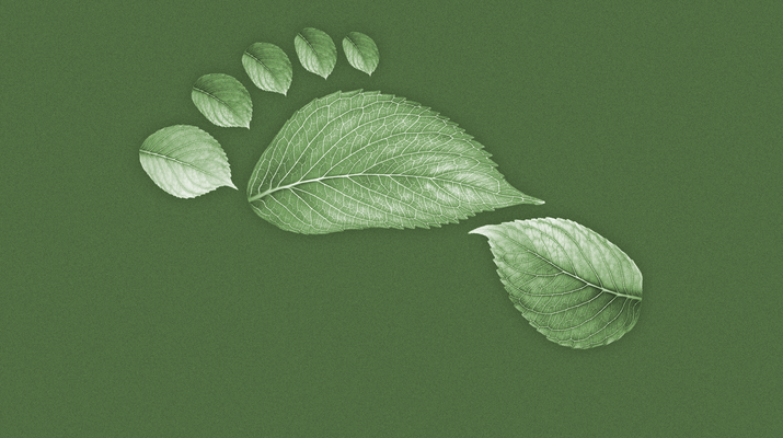 Fußabdruck in Form von Blättern
