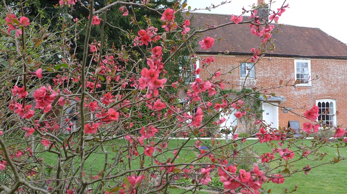 Jane Austen's House Museum