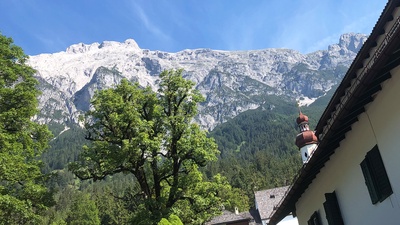 Alpenlandschaft in Tirol, Bäume und Kirchturm