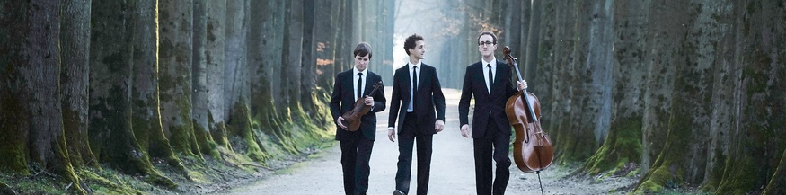 Trio Busch