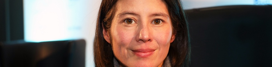 Milena Michiko Flasar