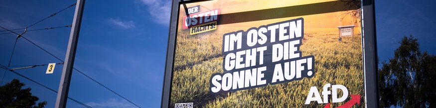 AfD-Wahlplakat