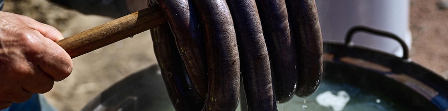 Herstellung von Blutwurst in Frankreich