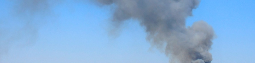 Eine hohe Rauchsäule steigt bei einem Waldbrand in St. Egyden am Steinfeld auf.