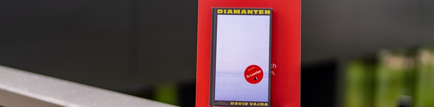 Buch des Monats: "Diamanten"