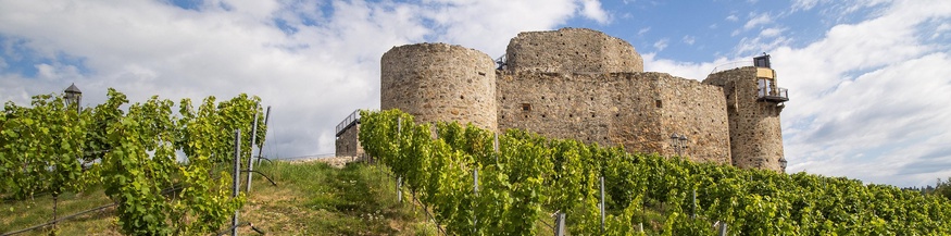 Burg Taggenbrunn, bei St. Veit, Kärnten