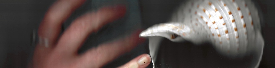 Hand, Smartphone und Muschel