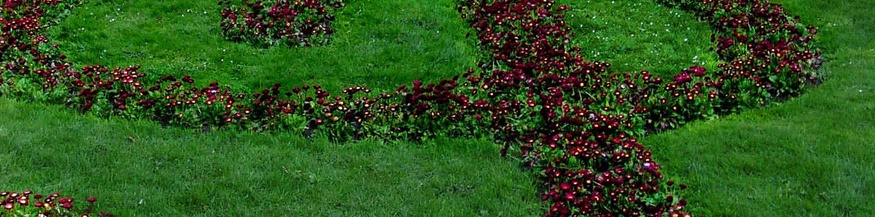 Gesetzte Blumen in Form eines Notenschlüssels vor dem Mozartdenkmal