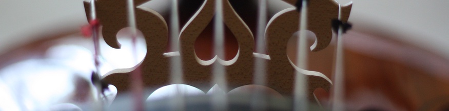 Viola, Vittorio Ghielmi