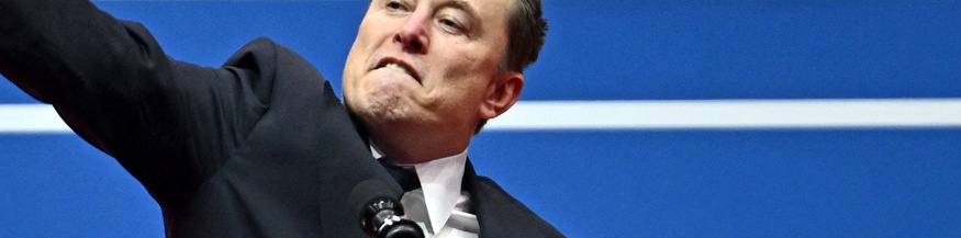 Elon Musk, Hitlergruß