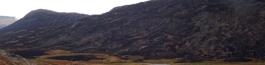 Brände in Westgrönland, 2019
