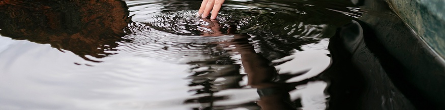 Wasserspiegelungen, Frauenhand im Wasser, Boot