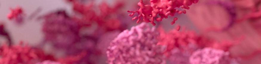 Endometriose-Gewebe, Illustration