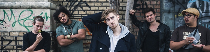 Pale Male mit Band