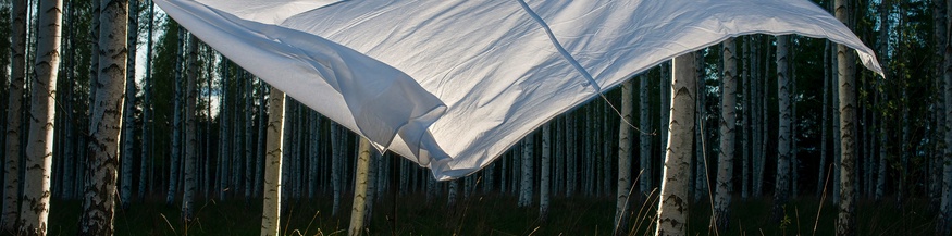 Tuch im Wind, Birkenwald