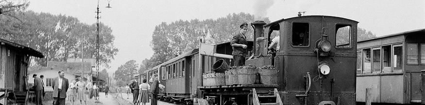 Salzkammergut-Lokalbahn, 1955