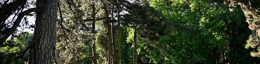 Innsbrucker Hofgarten