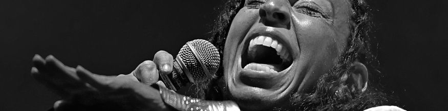 Heidi Vogel, Inntöne