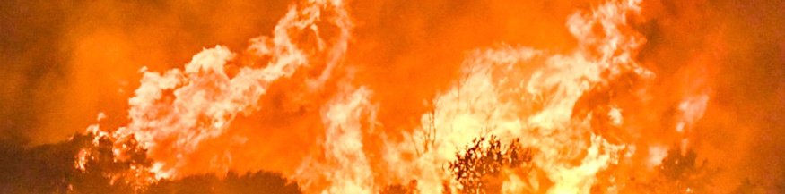 Waldbrand in Europa