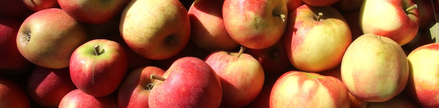 Äpfel