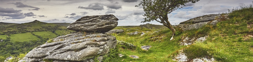 Landschaft in Dartmoor
