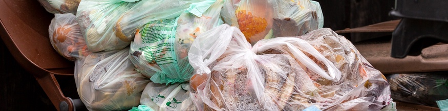 Überfüllte Biomülltonne, Müll, Abfall, Lebensmittel