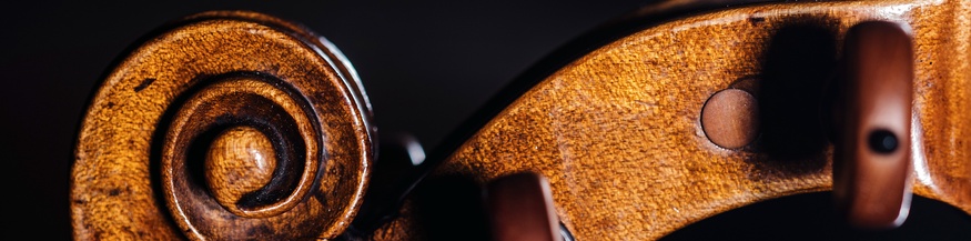 Schnecke einer Violine