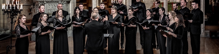 Tenebrae Choir, Pressefoto